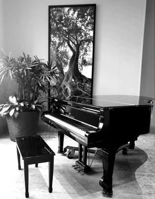 When was the piano invented? A look at modern grand piano history.
