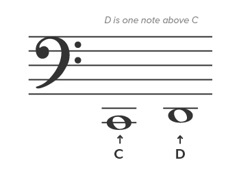 Bass clef notes - Left hand notes on piano - D.