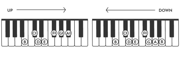 Learning About The B Minor Piano Scale - Hoffman Academy Blog