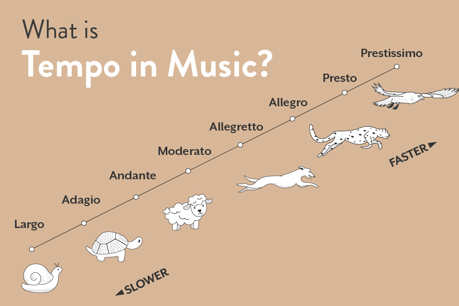 What is Tempo in Music? Definition, Markings & Examples