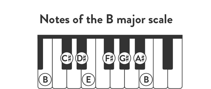 Notes of the B major scale