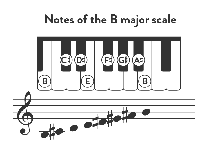 Play The B Major Scale: Piano Tutorial With Video - Hoffman Academy Blog