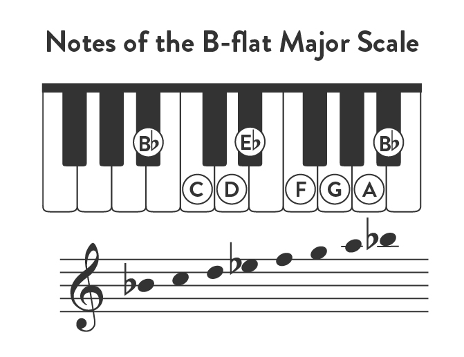 Notes of the B-Flat Major Scale